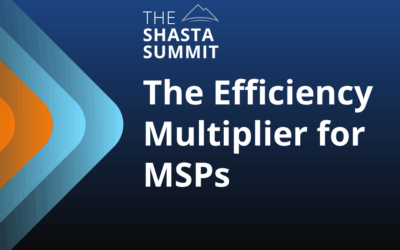 The Efficiency Multiplier for MSPs